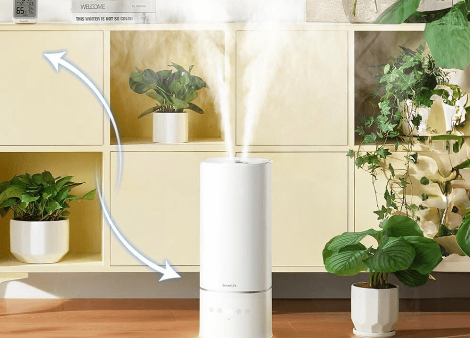 Breathe Easy with GoveeLife Smart 6L Humidifier